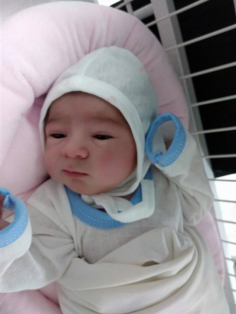 تولد عضو جدید خانواده بزرگ آپادانا