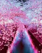 سال نو مبارک