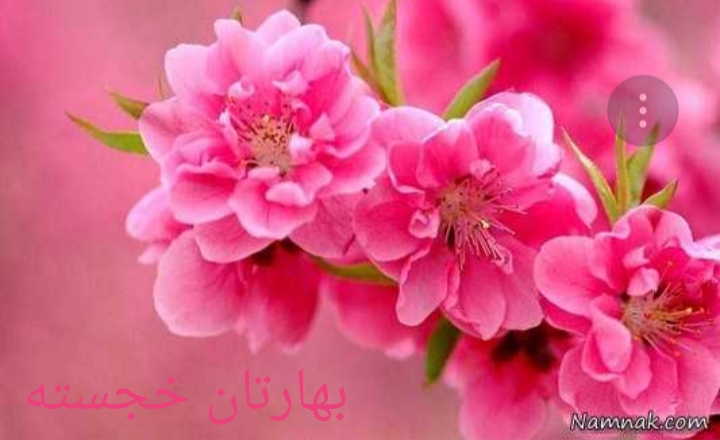 نوروز تان خجسته