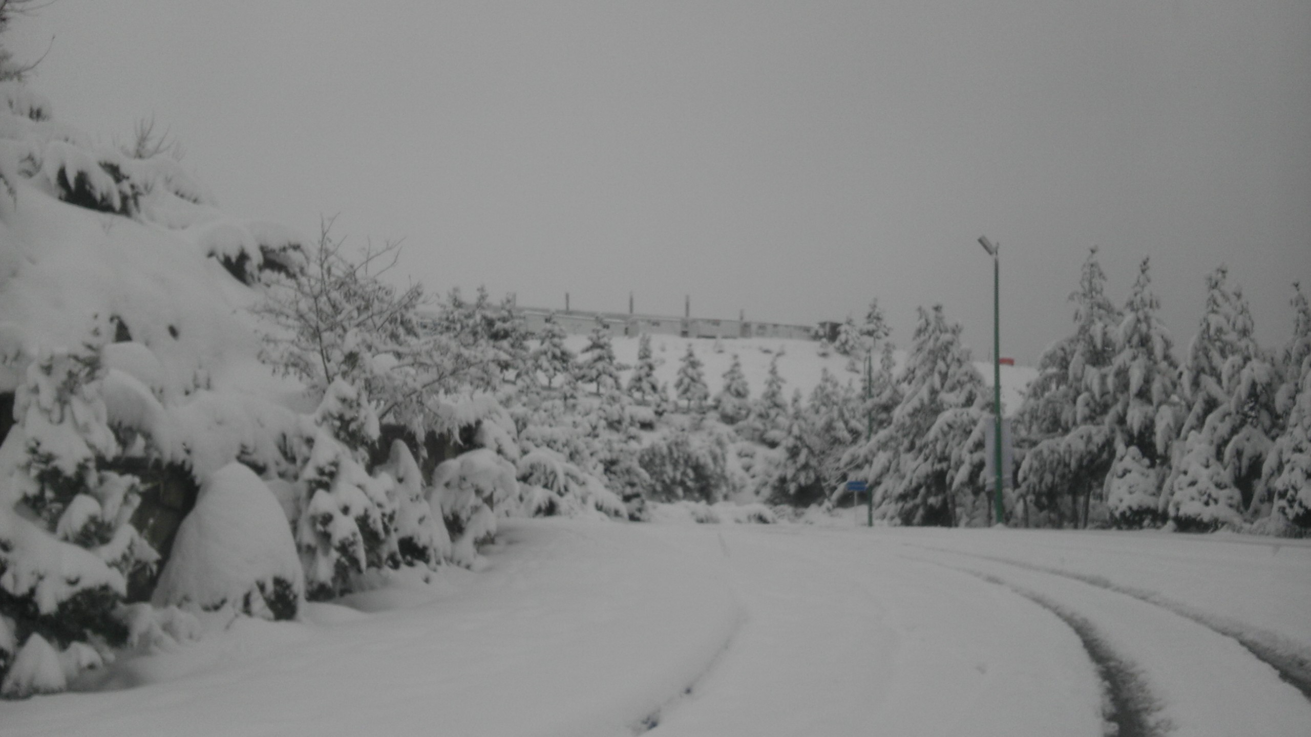 تصاویری از آپادانا