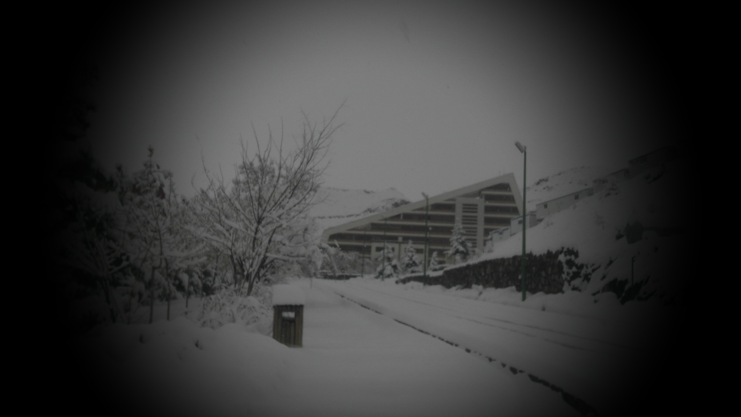 تصاویری از آپادانا