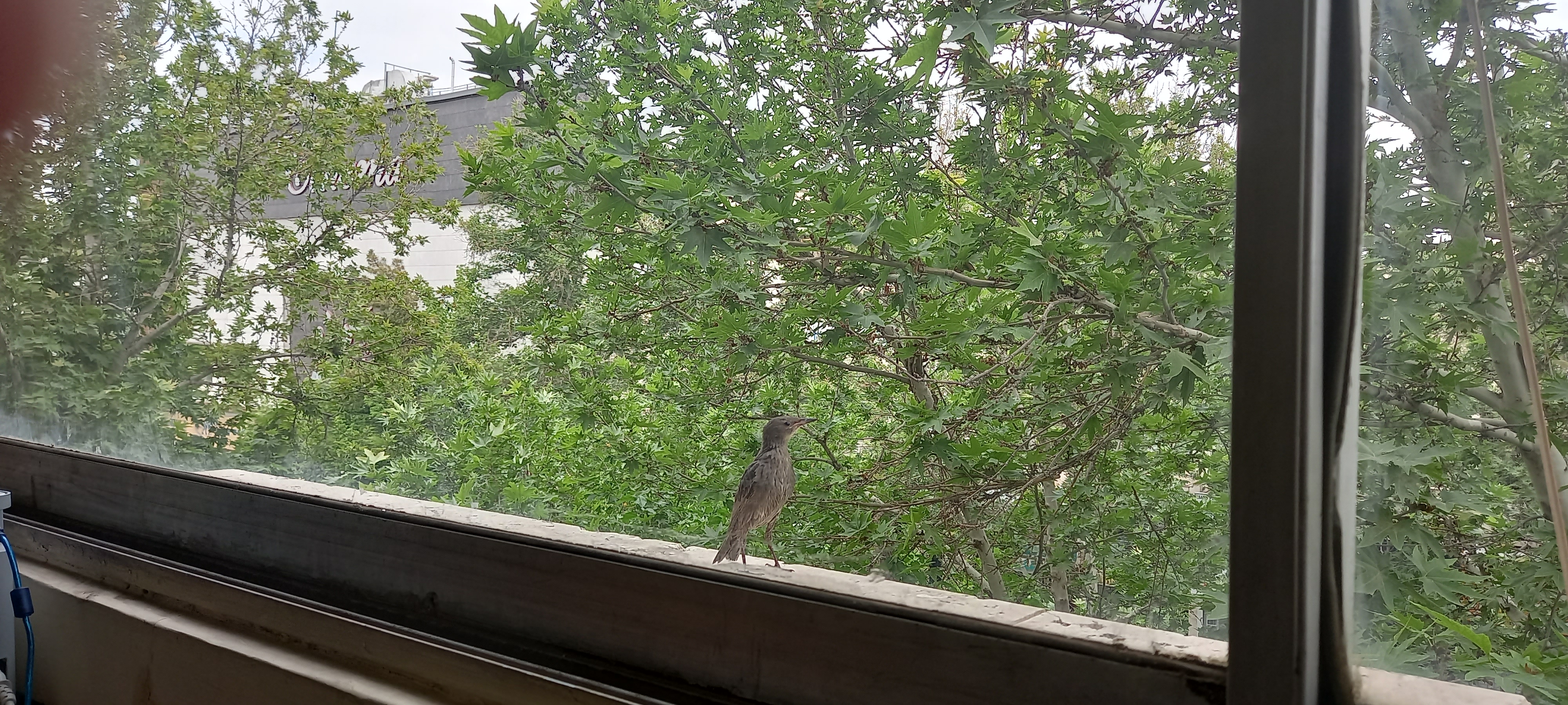 کلاس بازیگری کودکان و نوجوانان اپادانا