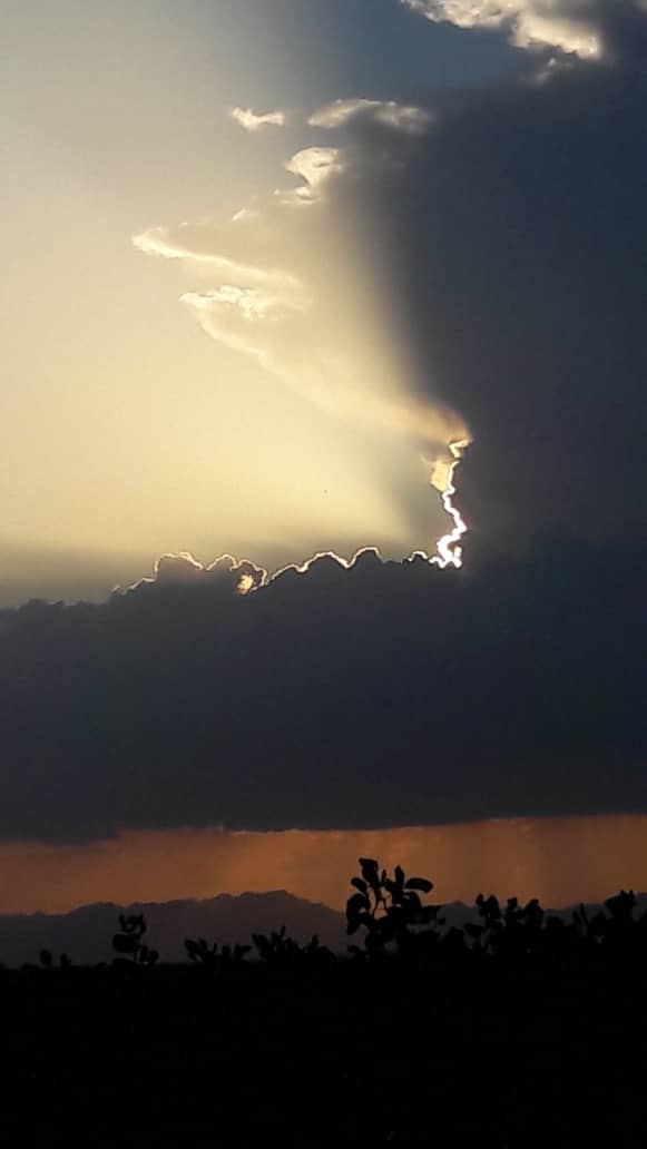 عکاس : ناهید خدادادی