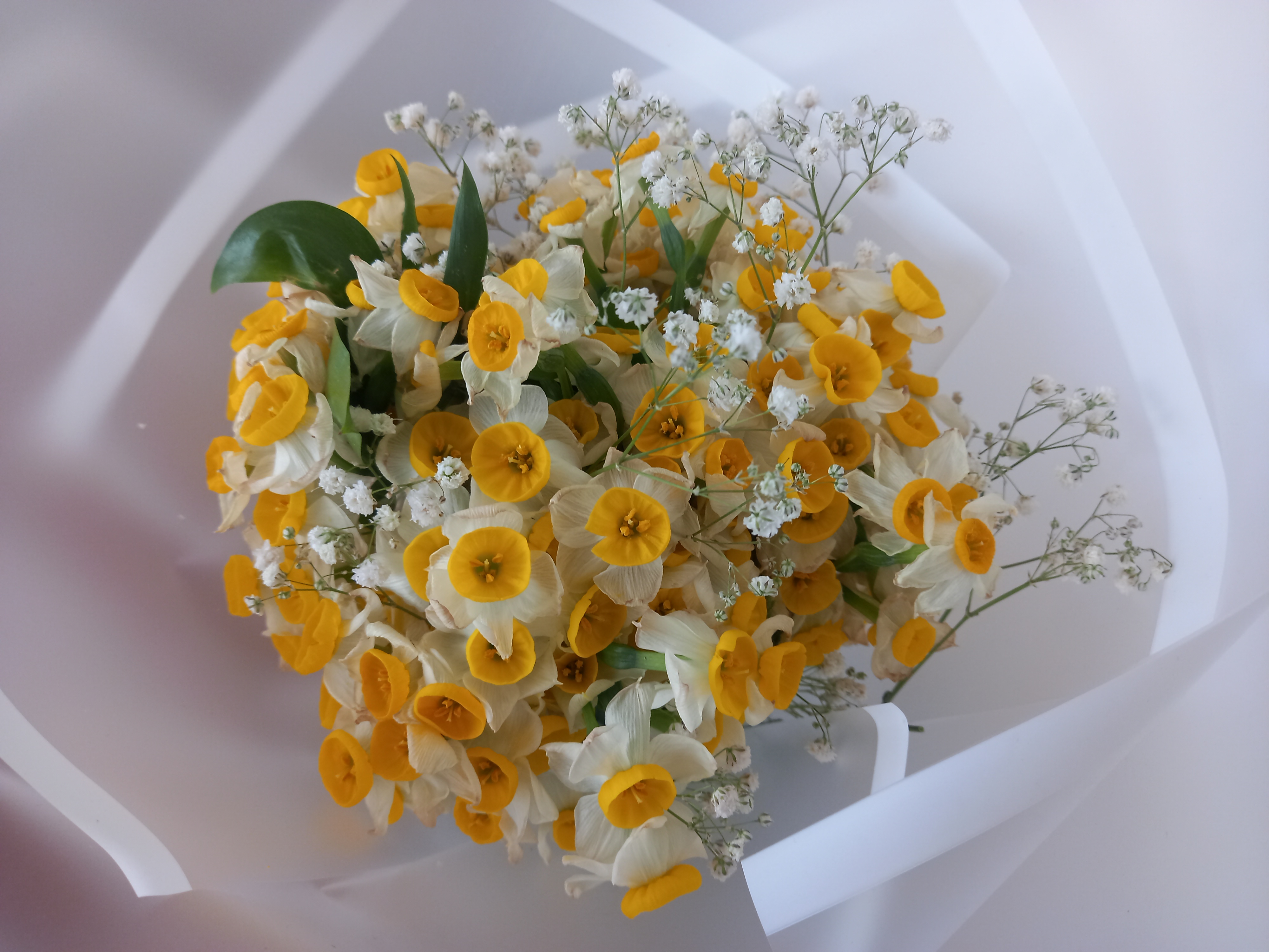 سپاس از مهرتون