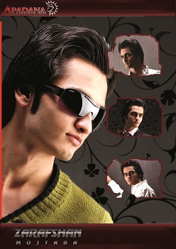 مجتبی زرافشان