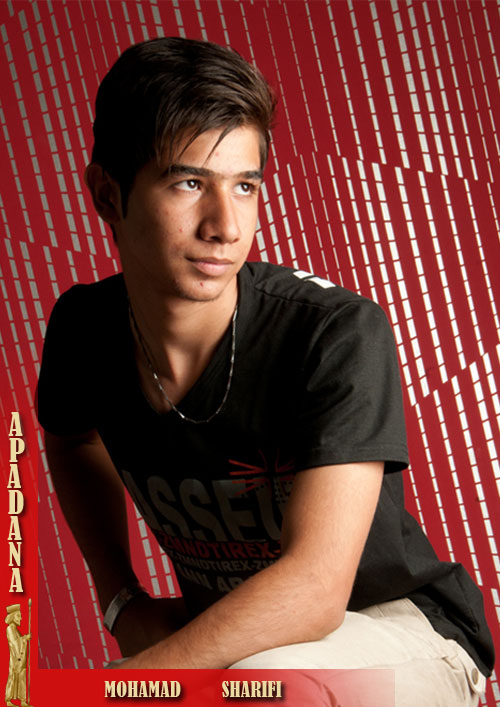 محمد شریفی