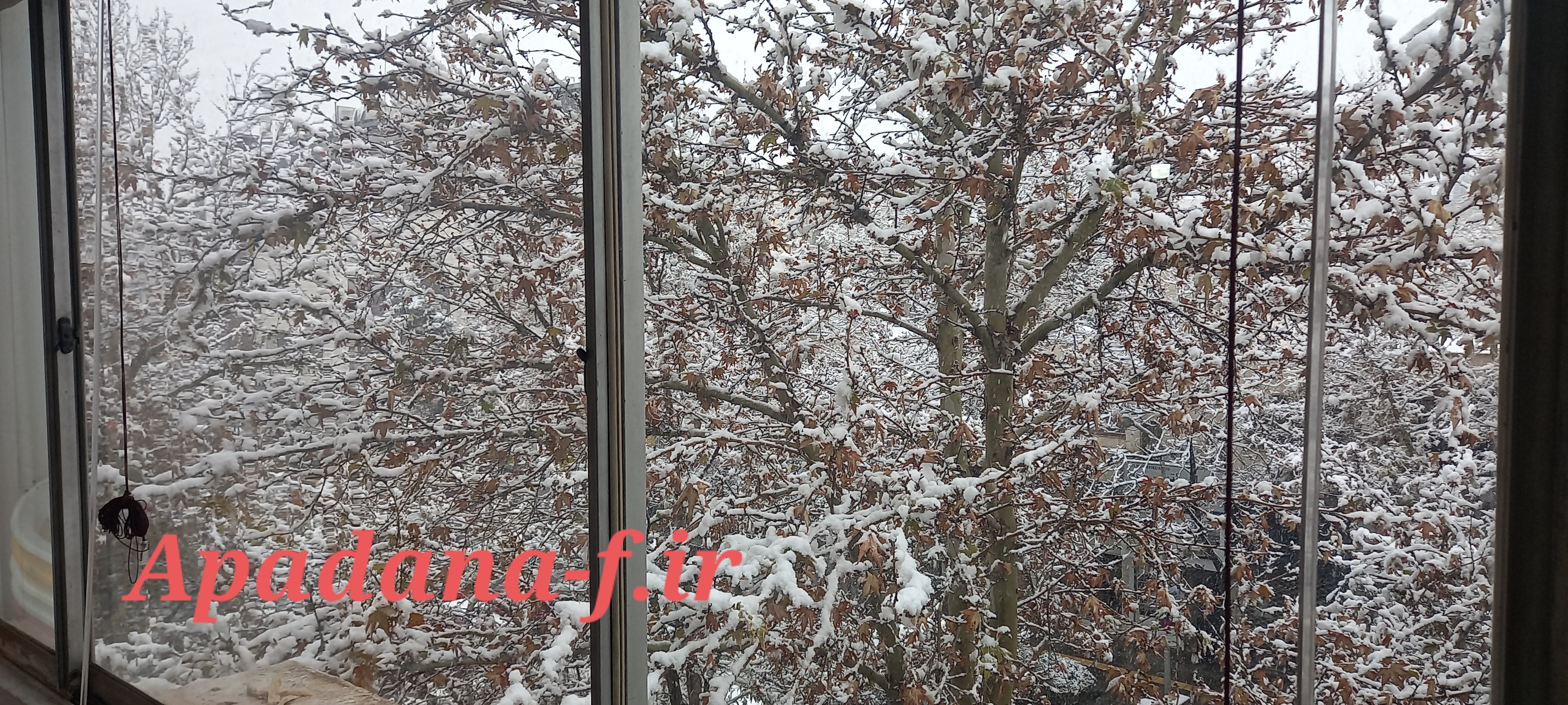 آموزشگاه آزاد سینمایی آپادانا